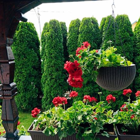 Pensiunea Casa Andreea - Barsana Maramures Bîrsana Εξωτερικό φωτογραφία