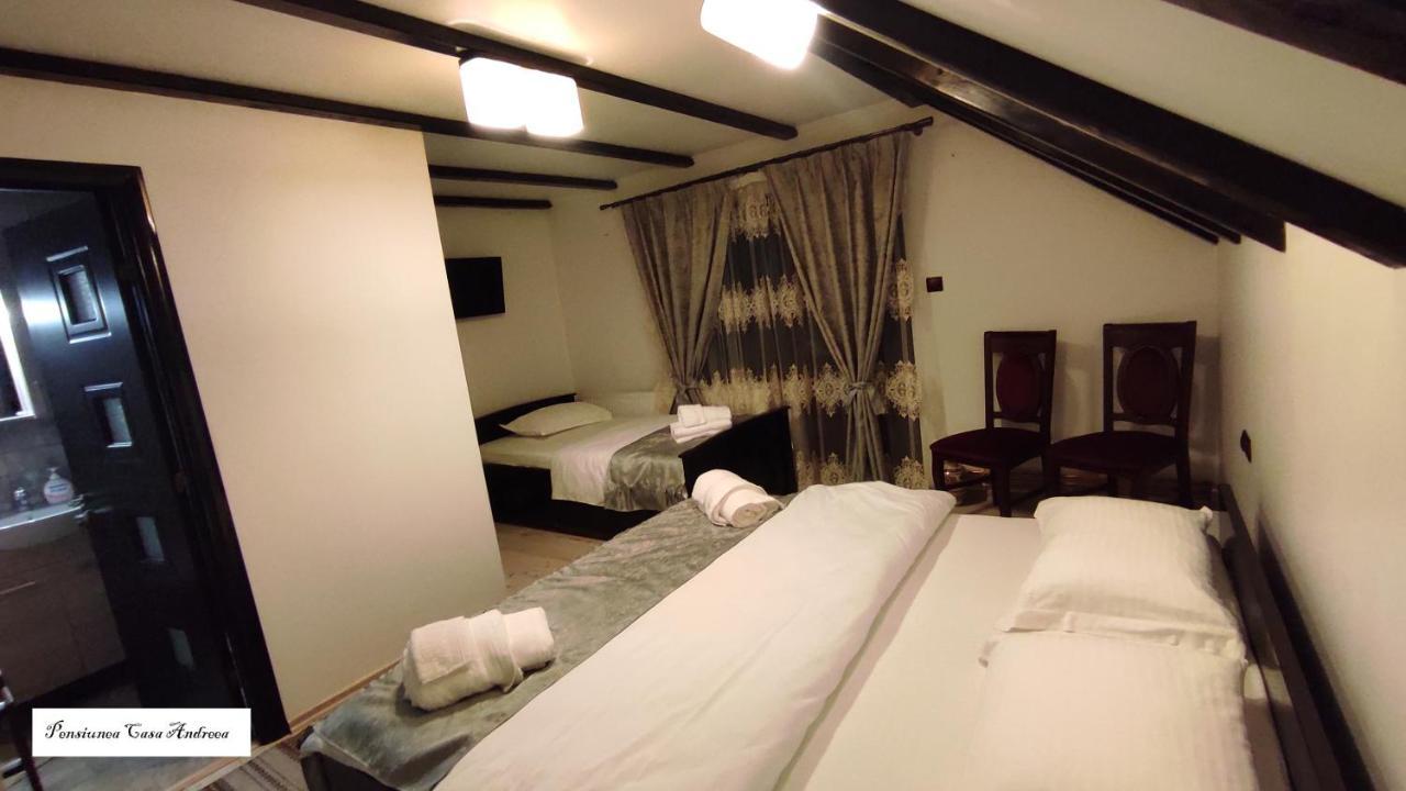 Pensiunea Casa Andreea - Barsana Maramures Bîrsana Εξωτερικό φωτογραφία
