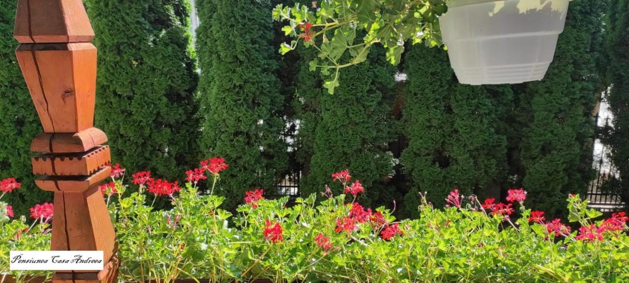 Pensiunea Casa Andreea - Barsana Maramures Bîrsana Εξωτερικό φωτογραφία