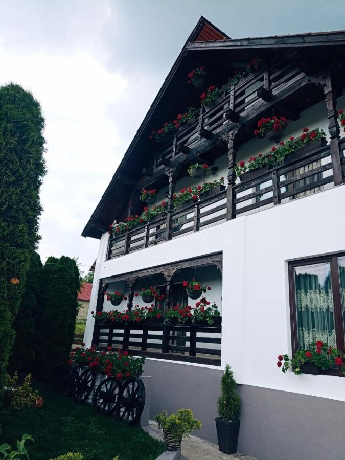 Pensiunea Casa Andreea - Barsana Maramures Bîrsana Εξωτερικό φωτογραφία