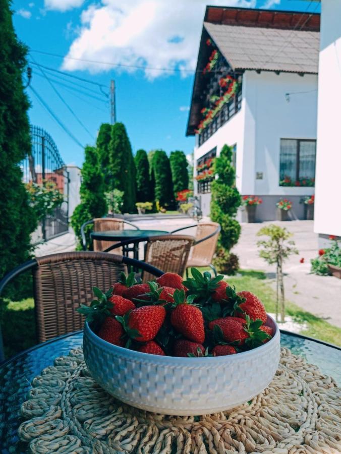Pensiunea Casa Andreea - Barsana Maramures Bîrsana Εξωτερικό φωτογραφία