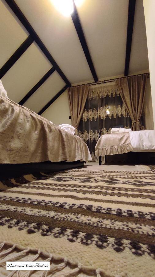Pensiunea Casa Andreea - Barsana Maramures Bîrsana Εξωτερικό φωτογραφία