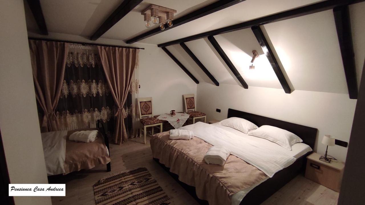 Pensiunea Casa Andreea - Barsana Maramures Bîrsana Εξωτερικό φωτογραφία