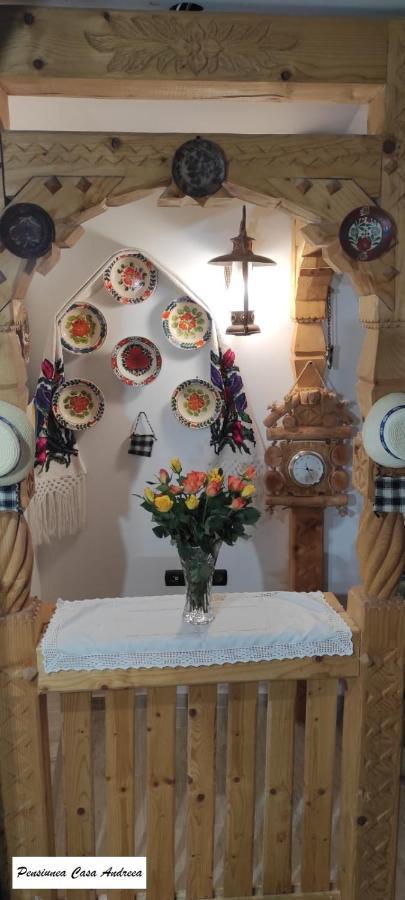 Pensiunea Casa Andreea - Barsana Maramures Bîrsana Εξωτερικό φωτογραφία