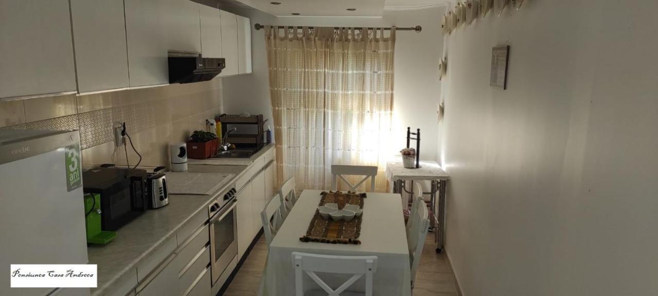 Pensiunea Casa Andreea - Barsana Maramures Bîrsana Εξωτερικό φωτογραφία