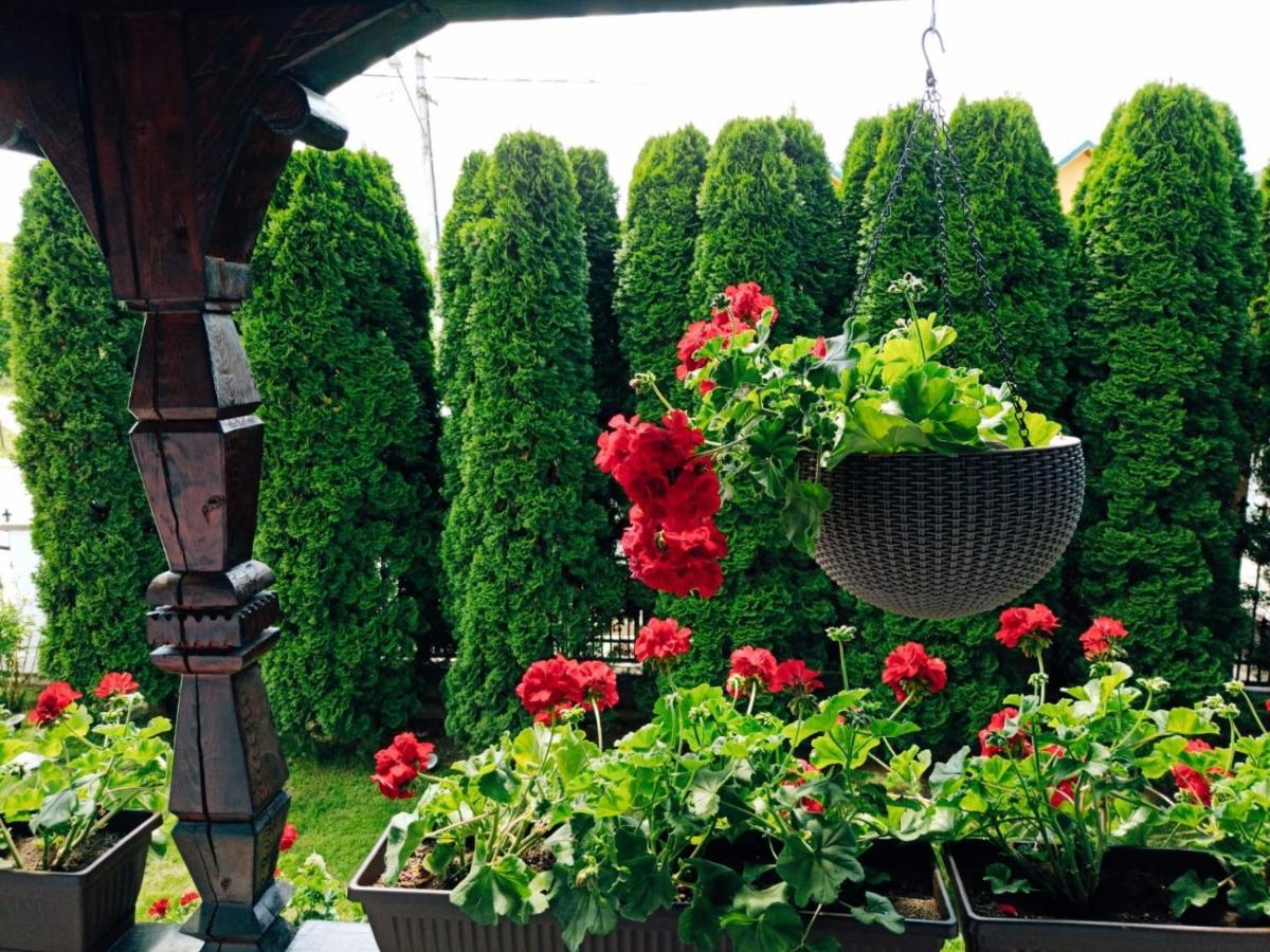 Pensiunea Casa Andreea - Barsana Maramures Bîrsana Εξωτερικό φωτογραφία