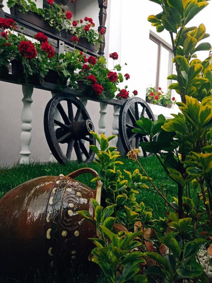 Pensiunea Casa Andreea - Barsana Maramures Bîrsana Εξωτερικό φωτογραφία