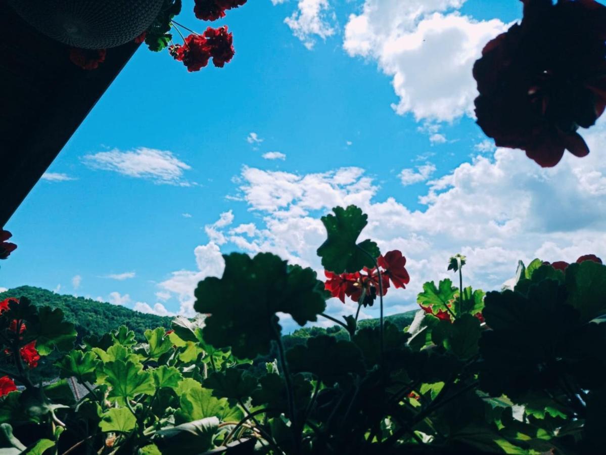 Pensiunea Casa Andreea - Barsana Maramures Bîrsana Εξωτερικό φωτογραφία
