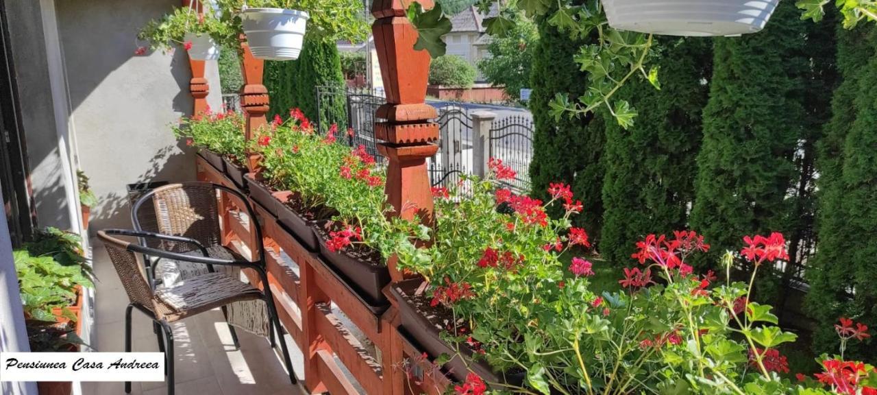 Pensiunea Casa Andreea - Barsana Maramures Bîrsana Δωμάτιο φωτογραφία